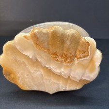 Vtg clam shell for sale  Hutchinson