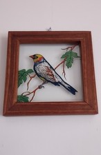 Colorful painted bird for sale  Buena