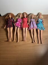 barbie fashionistas for sale  Northampton