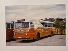 Riginal busfoto 9x13 gebraucht kaufen  Deutschland