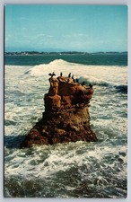 Postcard santa cruz for sale  Midlothian