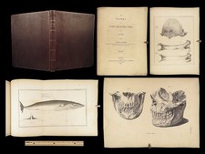1837 John Hunter Anatomy Atlas Surgery Medicine Illustrated Biology Veterinary comprar usado  Enviando para Brazil