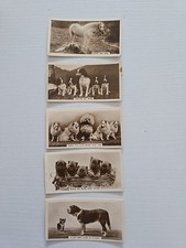 Animal studies cards for sale  POTTERS BAR