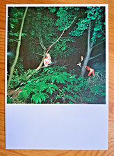 Postkarte rineke dijkstra gebraucht kaufen  Kirn