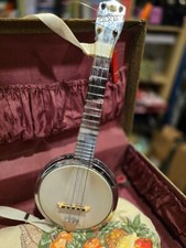 Banjo dixie 1950s for sale  Farmington