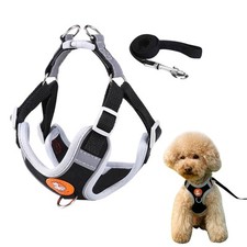 Cutiolly pettorina cane usato  Grottammare