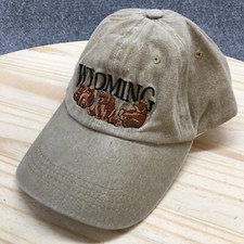 Usado, Boné de beisebol Wyoming marrom juvenil sistema operacional aba curva ajustável logotipo bordado comprar usado  Enviando para Brazil