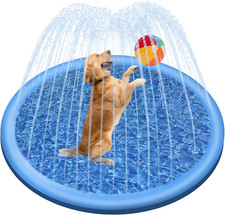 Piscina per cani usato  Roma