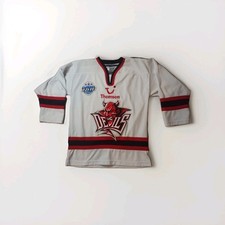 Cardiff devils 2005 for sale  RADLETT