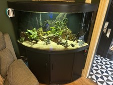 350 liter fish for sale  NEWTON ABBOT