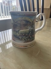 Flying scotsman bone for sale  DEESIDE