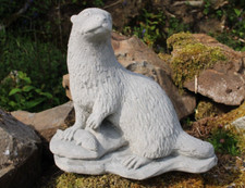 Wild otter garden for sale  WALLASEY