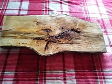 Live edge spalted for sale  Arpin