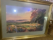 Douglas chun large for sale  Durant