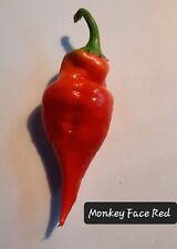 Samen chili paprika gebraucht kaufen  Rheine