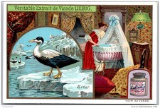 Liebig eider d'occasion Liebig eider d'occasion  France