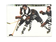Heinerle regelecke eishockey gebraucht kaufen  Deutschland