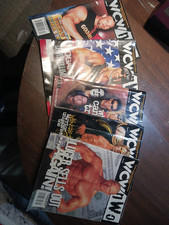 Wcw magazine lot for sale  Alexandria