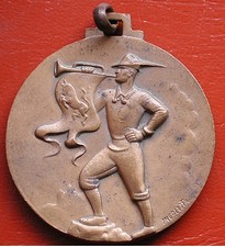 Medaglia adunata alpini usato  Ravenna