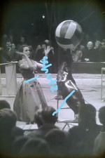 Dia foto zirkus gebraucht kaufen  Deutschland