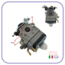 Carburatore decespugliatore wa usato  Altavilla Silentina