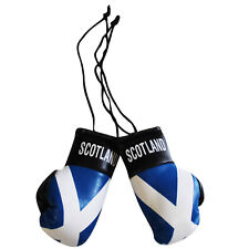 Scotland scotish mini for sale  ASHFORD