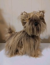 Pupps club yorkshire for sale  Clay City