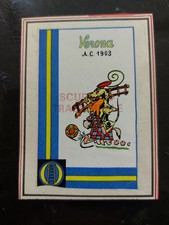 Verona scudetto trasferibile usato  Villanova di Camposampiero