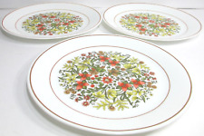 Vintage corelle glass for sale  Milbank