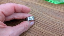 Bunz ring inox gebraucht kaufen  Solms