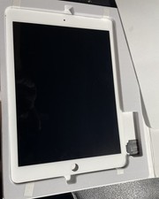 Apple lcd ipad usato  San Sperate
