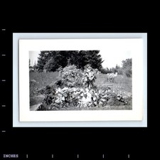 Vintage photo cemetery for sale  Grass Valley