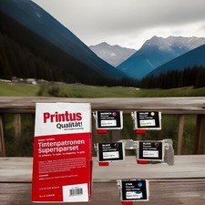 Druckerpatronen epson t0711 gebraucht kaufen  Fürth