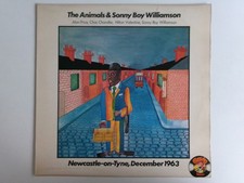 Animals sonny boy for sale  SUNBURY-ON-THAMES