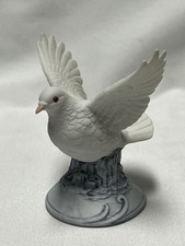 white doves pure for sale white doves pure for sale Saluda