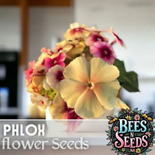 Phlox seeds 125 for sale  Meridian
