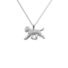 Collana lagotto romagnolo usato  Spedire a Italy