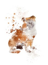 Bulldog ART PRINT Presente para amante de cães Arte de parede, Decoração para casa, Presente comprar usado  Enviando para Brazil
