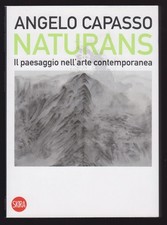 Paesaggio nell arte usato  Cinisello Balsamo