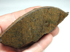 Meteorite 7640 224.0g for sale  Hebron