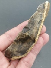 Early middle paleolithic d'occasion  Bonneville