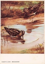 Cartolina roberto lemmi usato  Lugo
