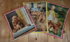 Vintage peter jane for sale  WISBECH