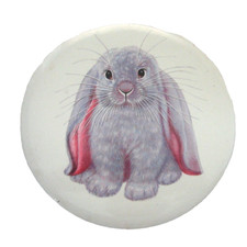 Lop eared bunny for sale  Benson