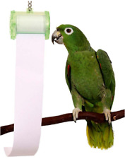 Shred medium parrot for sale  WOLVERHAMPTON