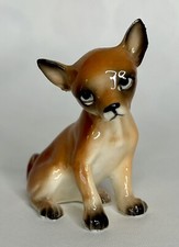 chihuahua miniature d'occasion chihuahua miniature d'occasion Expédié en Belgium