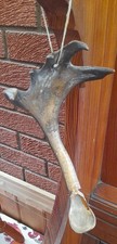 Antique scrimshaw hand for sale  BERWICK-UPON-TWEED
