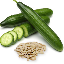 Cucumber seeds gardeners for sale  WARRINGTON