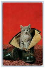 Usado, Cartão postal bonito gato cinza gatinho na bota quente e seguro c1961 comprar usado  Enviando para Brazil