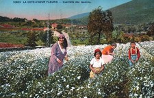 Carte postale cote d'occasion  Escautpont